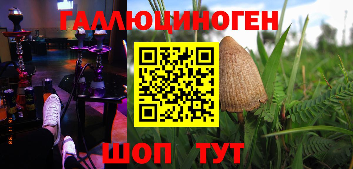 Ульяновск  Галлюциногенные грибы мухоморы  Вход с VPN  Псилоцибиновые грибы мухоморы 